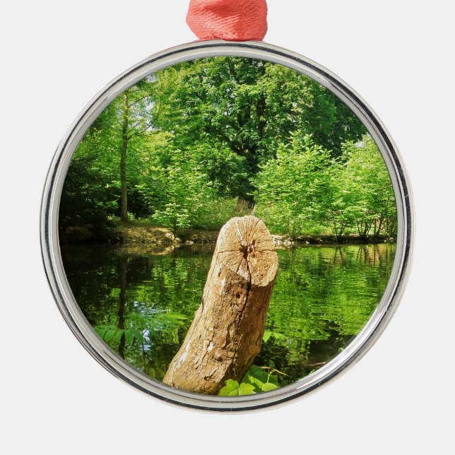 Tree Trunk Nature Fotografy Lake Park Silbernes Ornament (Vorne)