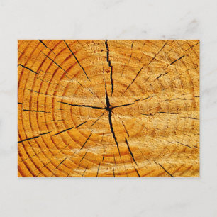 Tree Trunk Postkarte