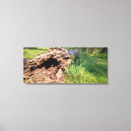 Tree Trunk Shattered Leinwanddruck