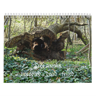 Tree trunks uprooted - dead - felled kalender