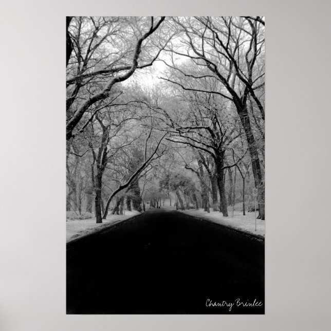 Tree Tunell Poster (Vorne)