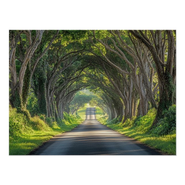 Tree Tunnel Kauai Fotografy Wall Art Poster (Vorderseite)