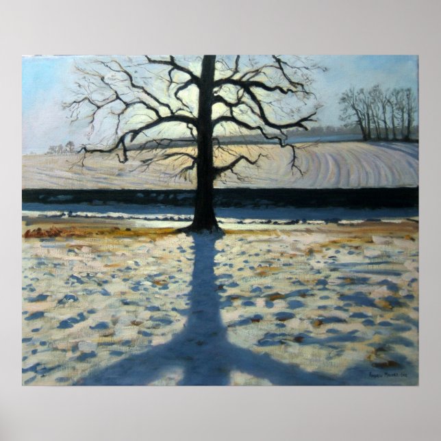 Tree und Shadow Calke Abbey Derbyshire Poster (Vorne)