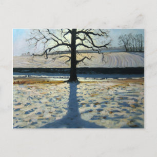 Tree und Shadow Calke Abbey Derbyshire Postkarte