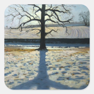 Tree und Shadow Calke Abbey Derbyshire Quadratischer Aufkleber