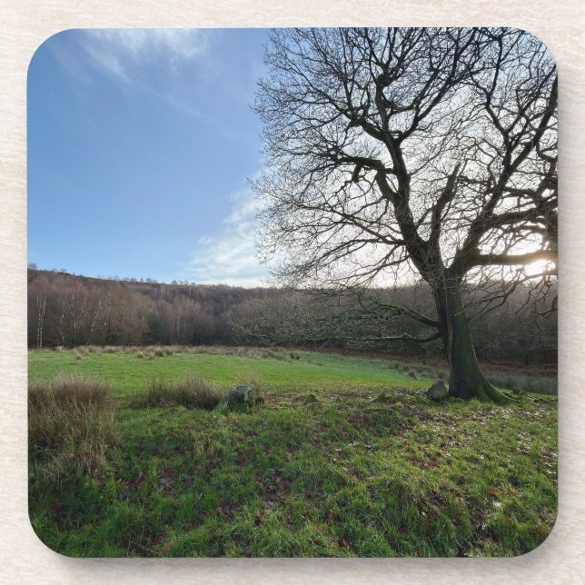 Tree view.. getränkeuntersetzer (Vorderseite)