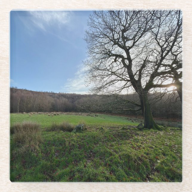 Tree view.. glasuntersetzer (Vorderseite)