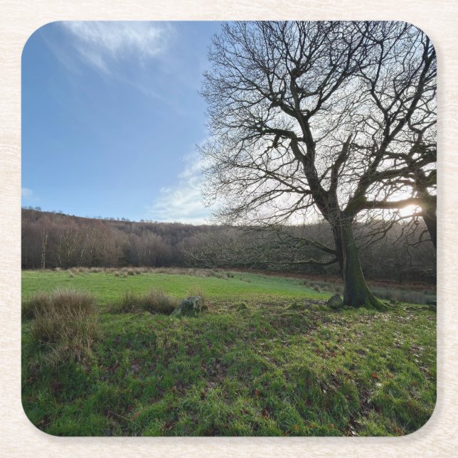 Tree view.. rechteckiger pappuntersetzer (Vorderseite)