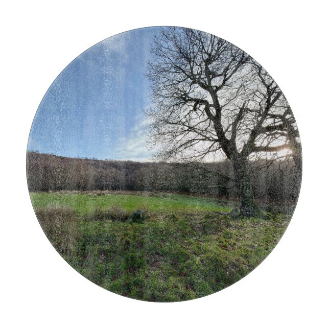 Tree view.. schneidebrett (Vorderseite)