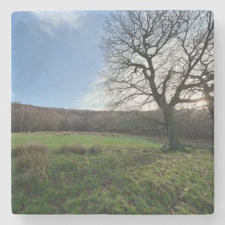 Tree view.. steinuntersetzer