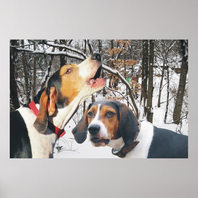 Tree Walker Coonhound Snowy Woods Poster (Vorne)