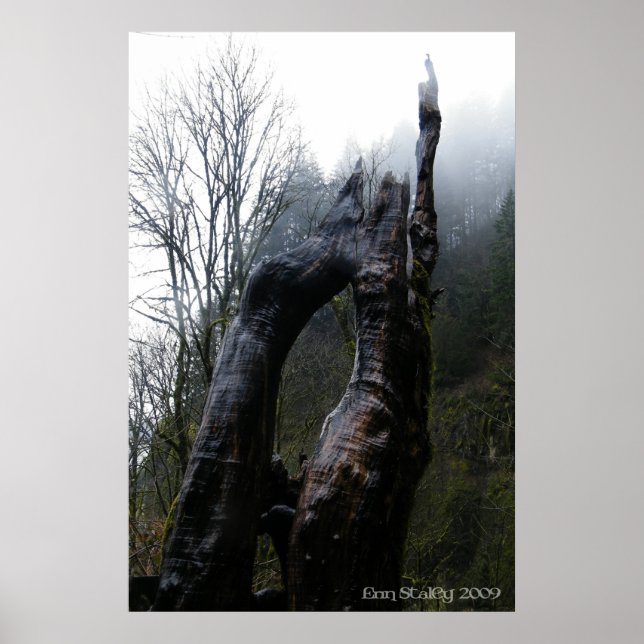 Treegina Poster (Vorne)