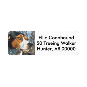 Treeing Walker Coonhound