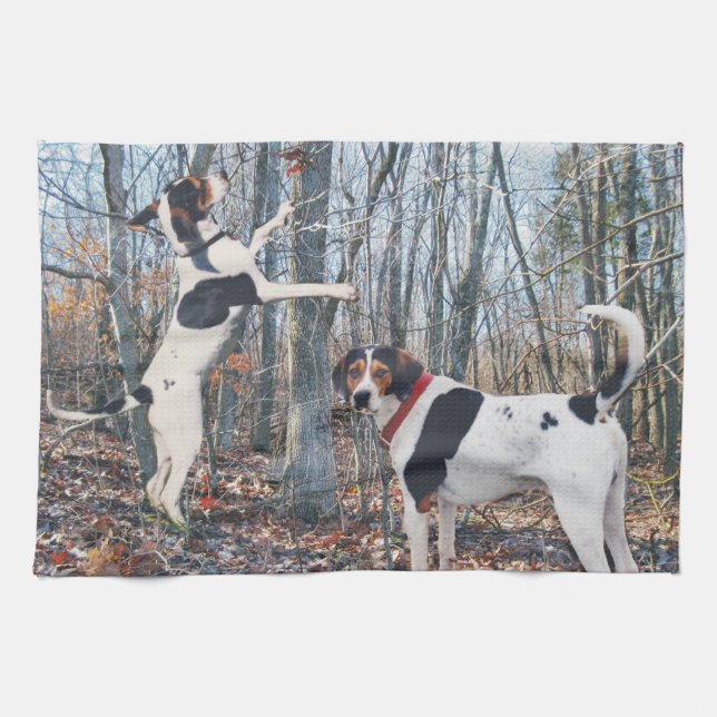 Treeing Wanderercoonhound-Geschirrtuch Handtuch (Horizontal)
