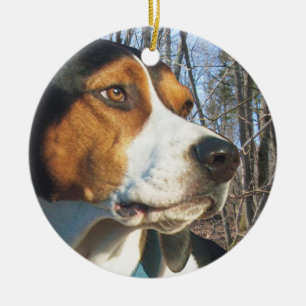 Treeing WandererCoonhound im Holz Keramik Ornament