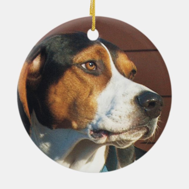 Treeing WandererCoonhound Keramikornament (Hinten)