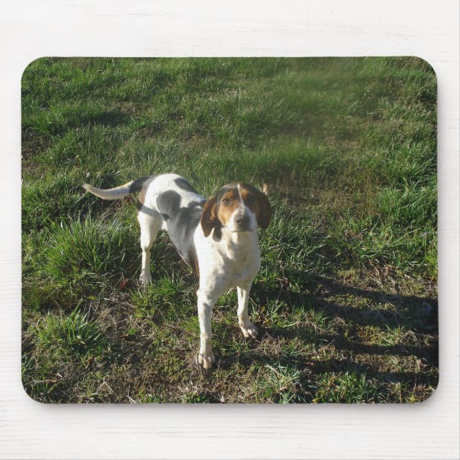 Treeing WandererCoonhound Mousepad (Vorne)