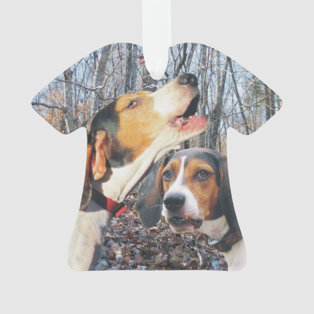 Treeing Wanderercoonhound-Weihnachtsverzierung Ornament (Rückseite)