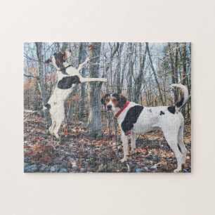 Treeing Wanderercoonhounds-Jagd Puzzle