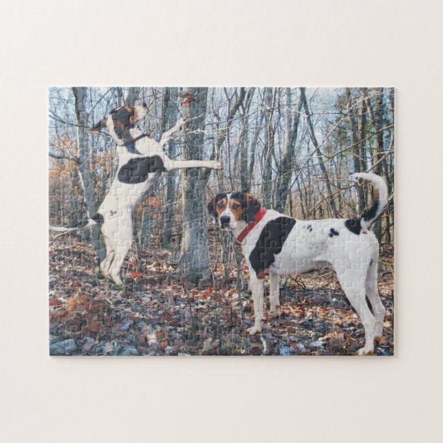 Treeing Wanderercoonhounds-Jagd Puzzle (Horizontal)