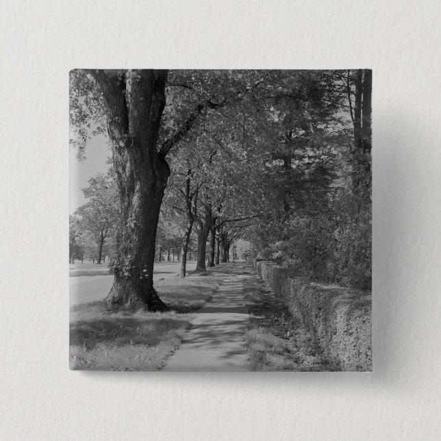 Treelined Straße mit Bürgersteig Button (Vorderseite)