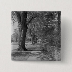 Treelined Straße mit Bürgersteig Button
