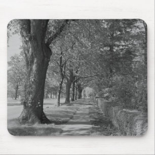Treelined Straße mit Bürgersteig Mousepad