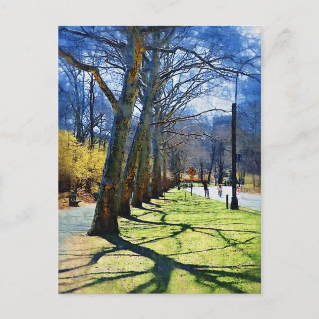 Trees Central Park NY Postkarte (Vorderseite)