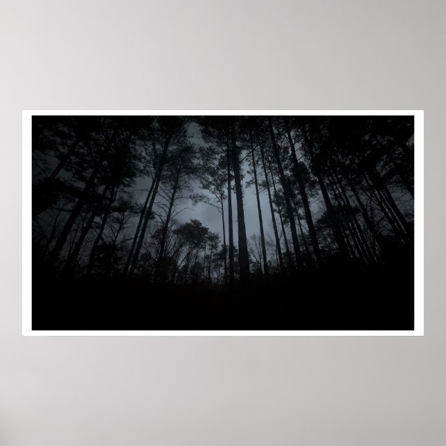 Trees & Fog,  Poster (Vorne)