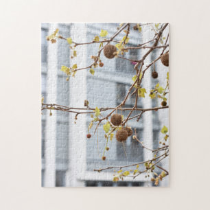 Trees in Spring North London Vereinigtes Königreic Puzzle