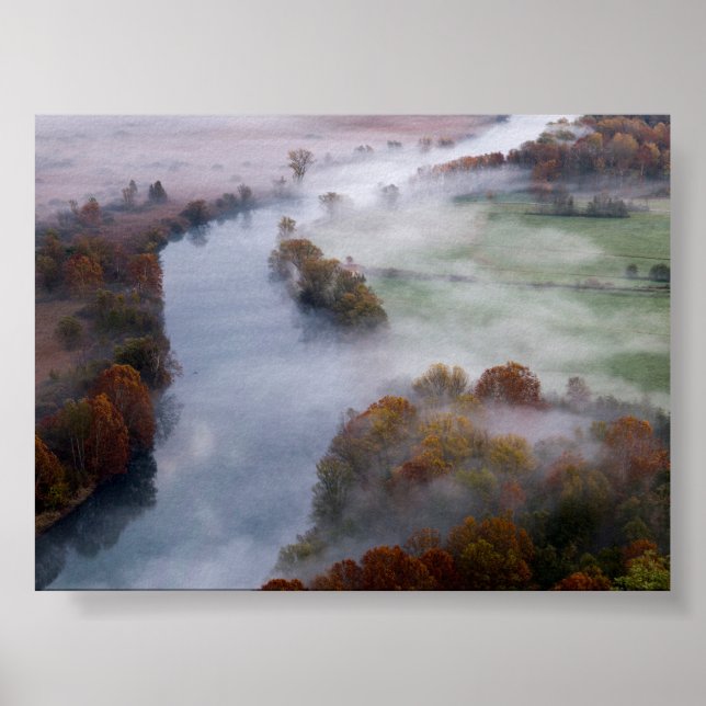 Trees in the morning mist poster (Vorne)