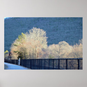 Trees Lehigh Gorge Staat Park Poster