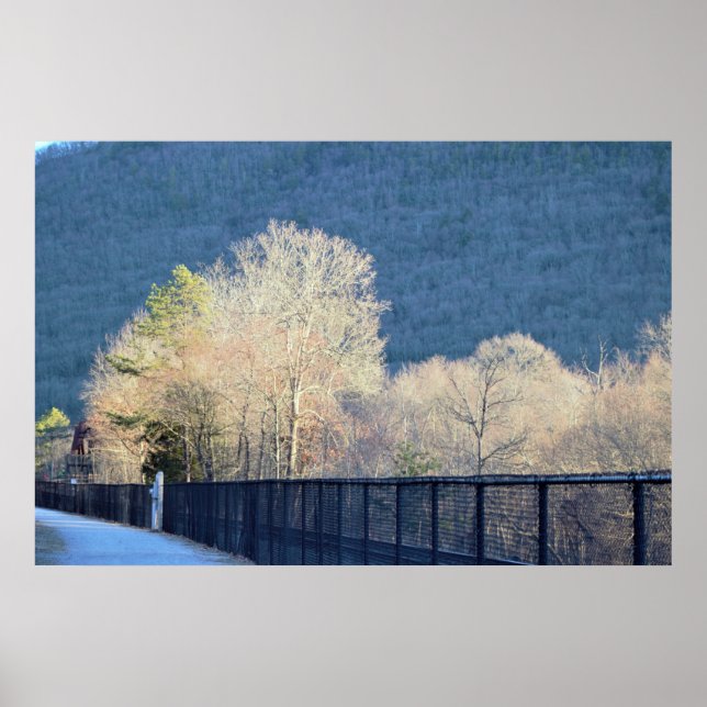 Trees Lehigh Gorge Staat Park Poster (Vorne)