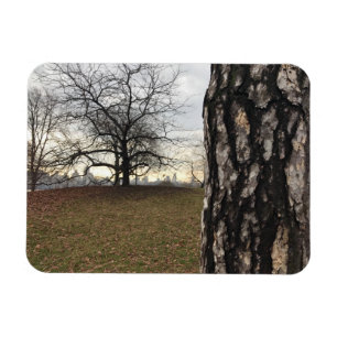 Trees New York NYC Sunrise Central Park Skyline Magnet