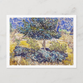 Trees Shrubs Asylum Garden Vincent Van Gogh Postkarte