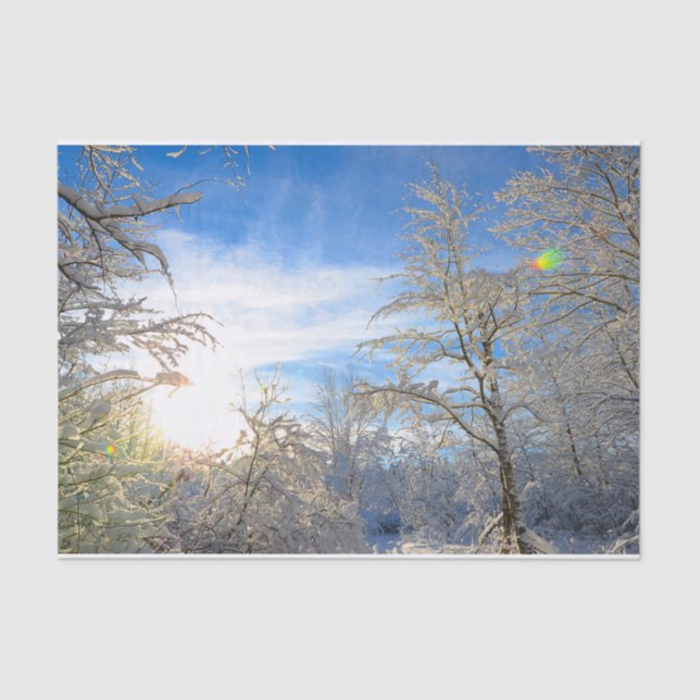 Trees Winter Snow Covered Blue Sky Wolken Landscha Seidenpapier (Vorderseite)