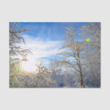 Trees Winter Snow Covered Blue Sky Wolken Landscha