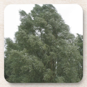 Treetops Cork Untersetzer