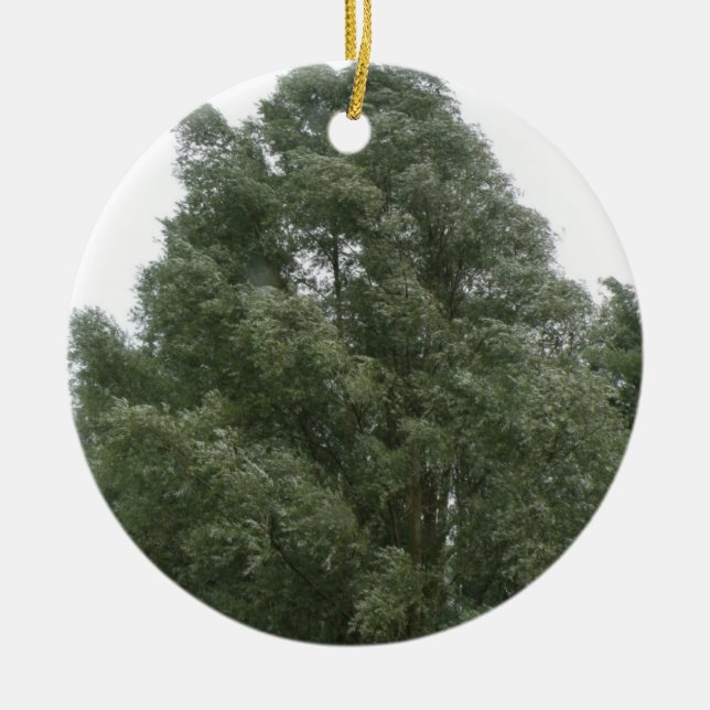 Treetops Ornament (Vorne)