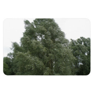 Treetops Premium Magnet