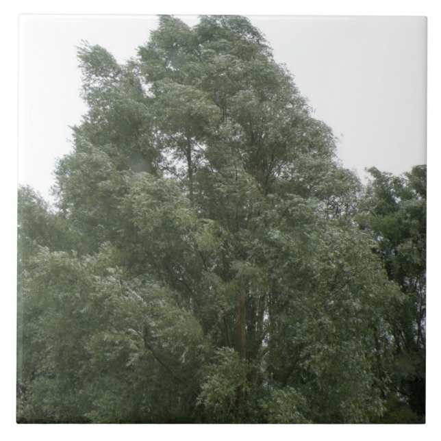 Treetops Tile Fliese (Vorderseite)