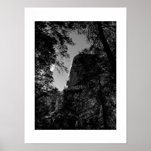 Treeview Yosemite Black and White Fotografy Poster (Vorne)