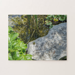 Treffen am Frosch Rock Puzzle