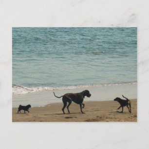 Treffen & Greet Postkarte