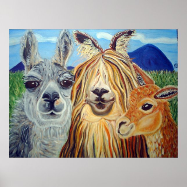 TREFFEN LLAMAS:LLAMA,ALPACA,VICUNA!! POSTER (Vorne)