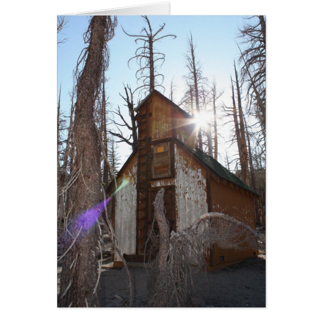 Treffen mich! - Besonders angefertigt (Vorne)