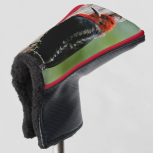 Treffen mit einem Rotschnabelschnäpper Golf Headcover
