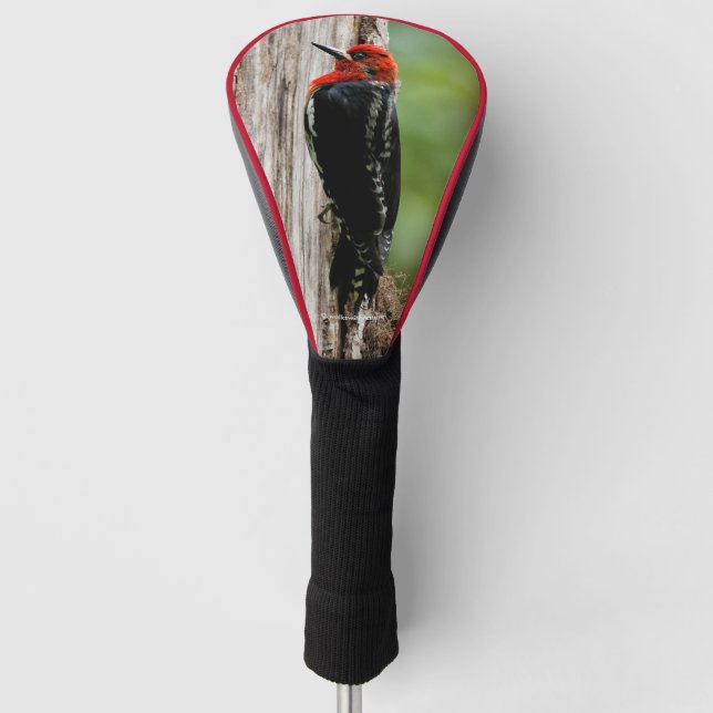 Treffen mit einem Rotschnabelschnäpper Golf Headcover (Vorderseite)