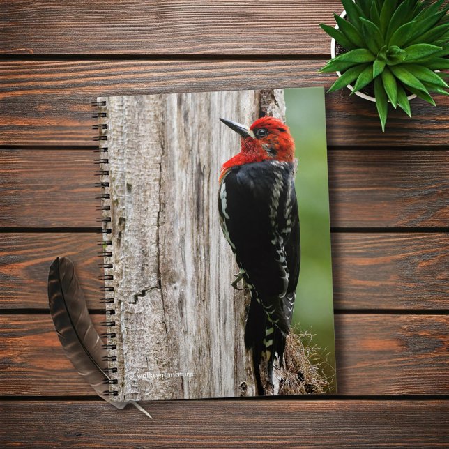 Treffen mit einem Rotschnabelschnäpper Notizblock (Red-Breasted Sapsucker in the Forest Journal Cover Photo)