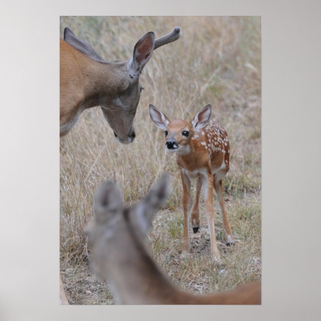 Treffen Sie das neue Baby Poster (Vorne)